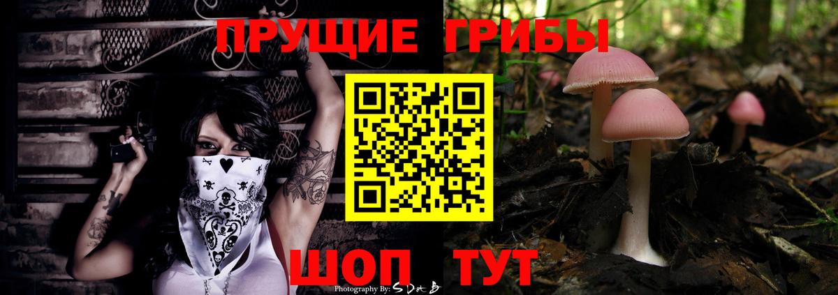 Псилоцибиновые грибы Psilocybine cubensis Каменка