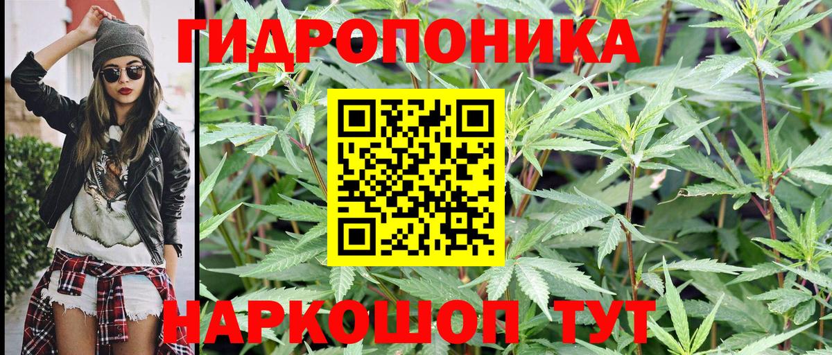 Шишки марихуана White Widow Каменка